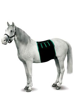 Bandáž pro koně břišní, EQUIVET vel. M