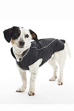 Obleček Raincoat Černá 20cm XXS KRUUSE