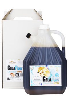 Gelapony Chondro Biosol HYAL 3000ml
