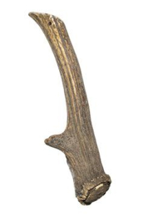 Pochoutka paroží Jelen 300-420g