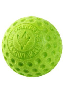 Hračka pes BALL MINI plov. z TPR zelená Kiwi