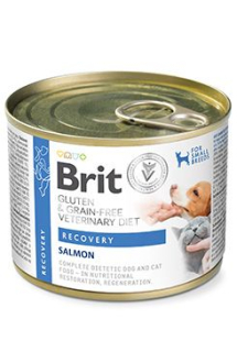Brit VD Dog+Cat GF konz Recovery 200g