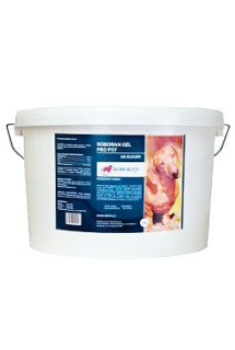 Roboran Chondro pro psy 3kg (dříve Gel)
