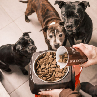 Fitmin dog medium maintenance - 2,5 kg